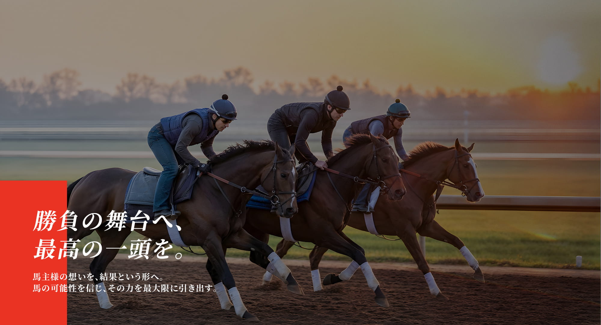 馬主様の想いを、結果という形へ。 馬の可能性を信じ、その力を最大限に引き出す。 勝負の舞台へ、最高の一頭を。