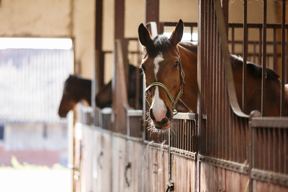 AdobeStock_110731155